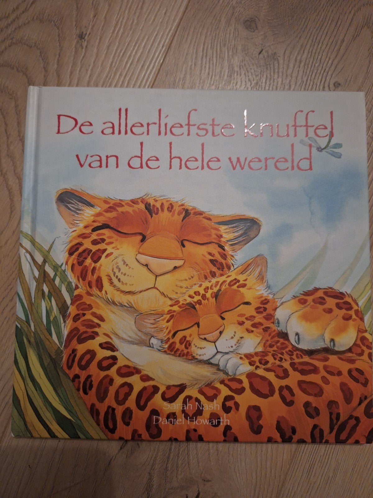 Kinderboek De allerliefste knuffel van de hele wereld, Ophalen of Verzenden, Gelezen, Sprookjes