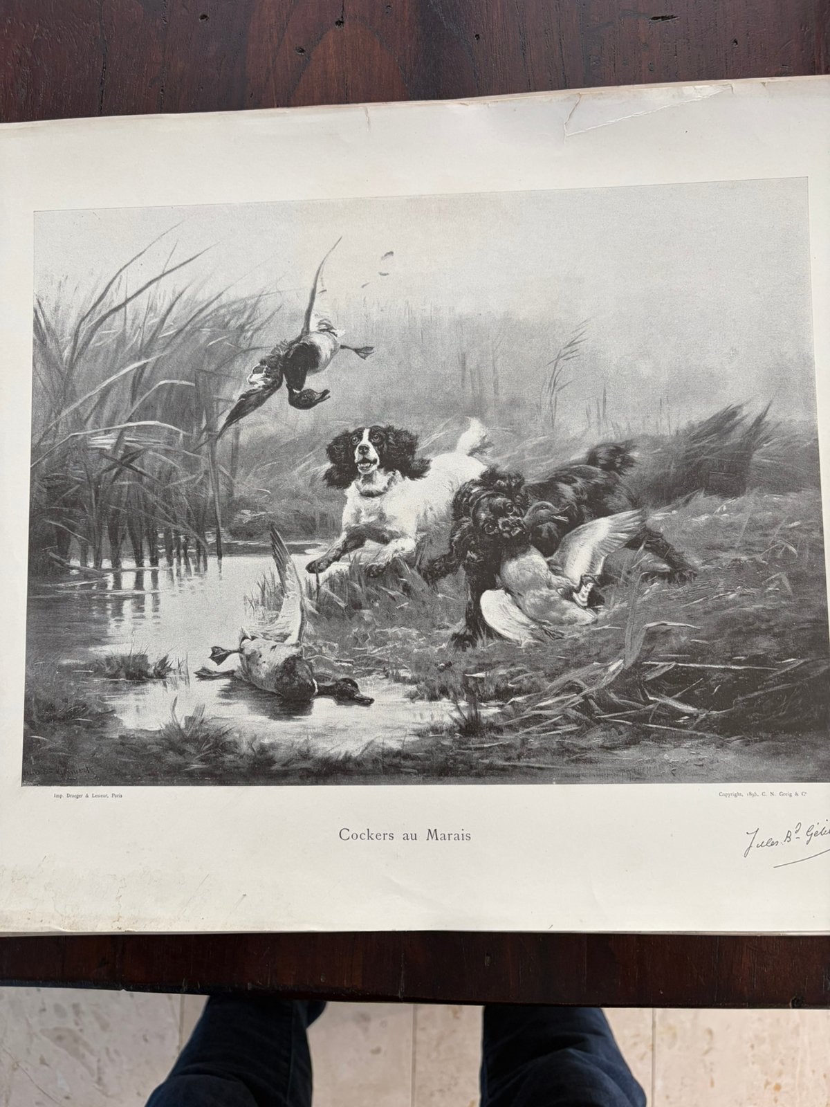 Cockers au Marais, Antiek en Kunst, Ophalen of Verzenden