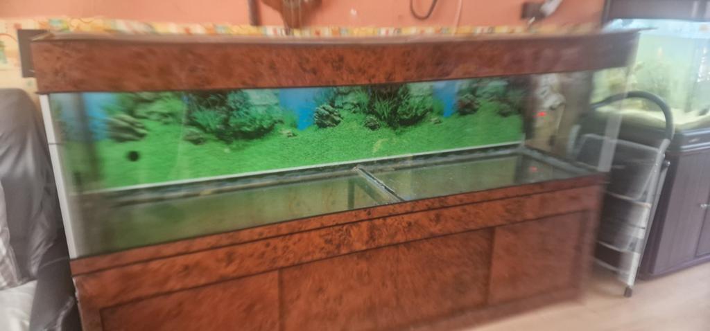 2 meter aquarium, Ophalen, Leeg aquarium