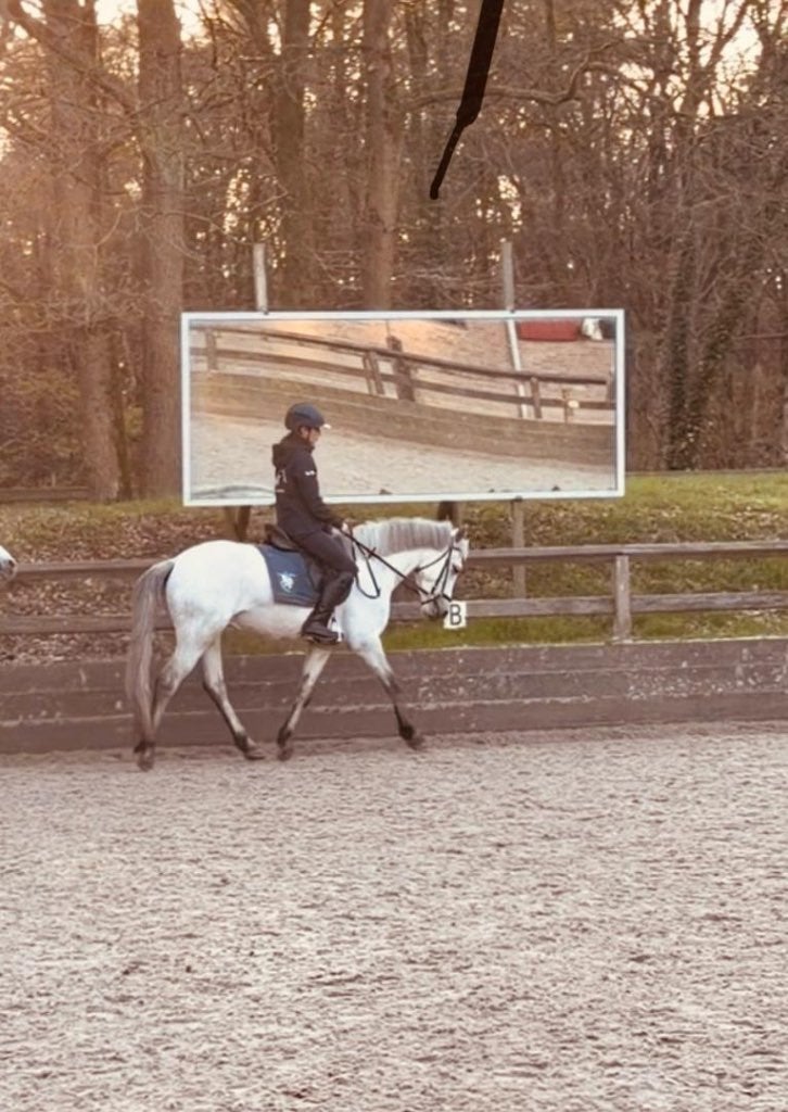 verzorgpony gezocht/bijrijder aangeboden, Ophalen of Verzenden, Nieuw