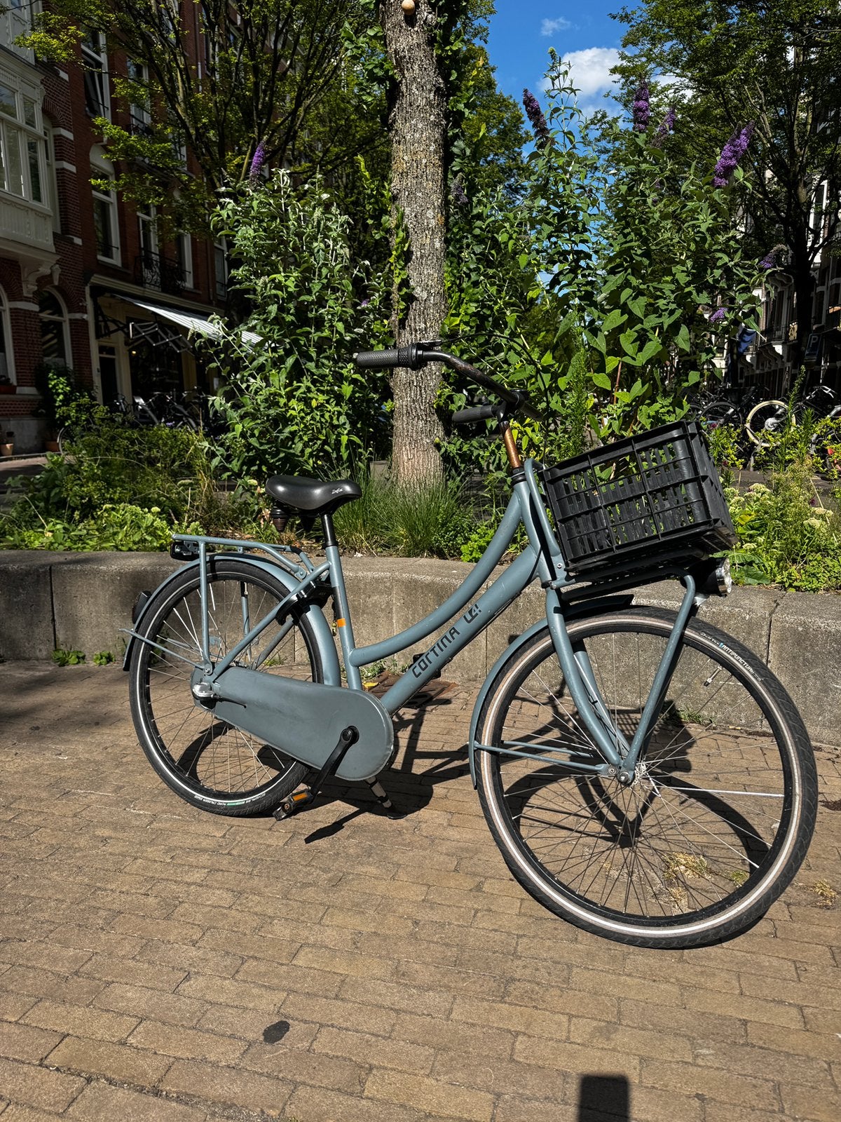 Cortina U4 - 26 inch, Ophalen, Gebruikt, 26 inch of meer