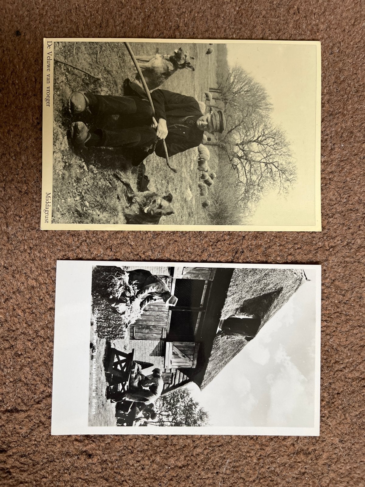 Oude ansichtkaarten: Herder met schapen en boerderij, Ophalen of Verzenden, Voor 1920, Ongelopen