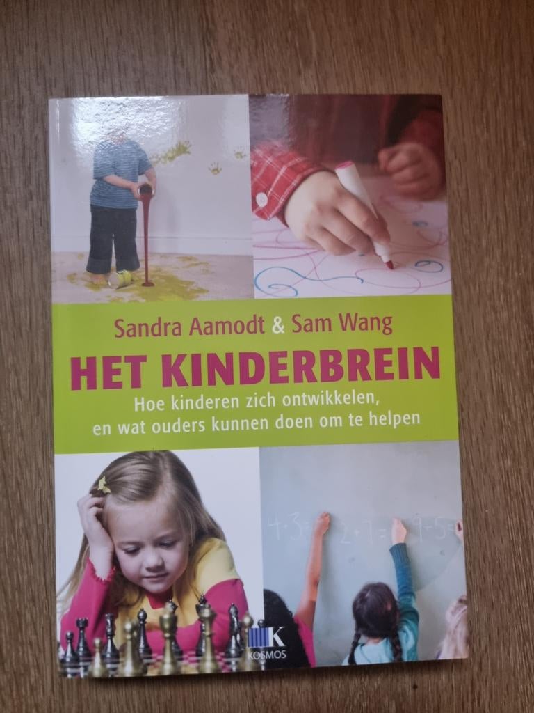 Het Kinderbrein: Hoe kinderen zich ontwikkelen, Ophalen of Verzenden, Zo goed als nieuw, Opvoeding tot 6 jaar, Sandra Aamodt & Sam Wang