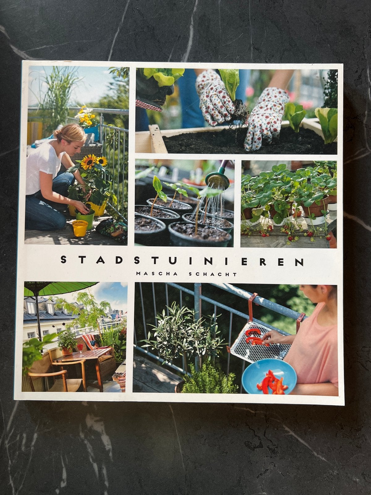 Stadstuinieren: Succesvol balkon en tuinieren in de stad, Boeken, Ophalen of Verzenden, Zo goed als nieuw, Tuinieren en Tuinplanten