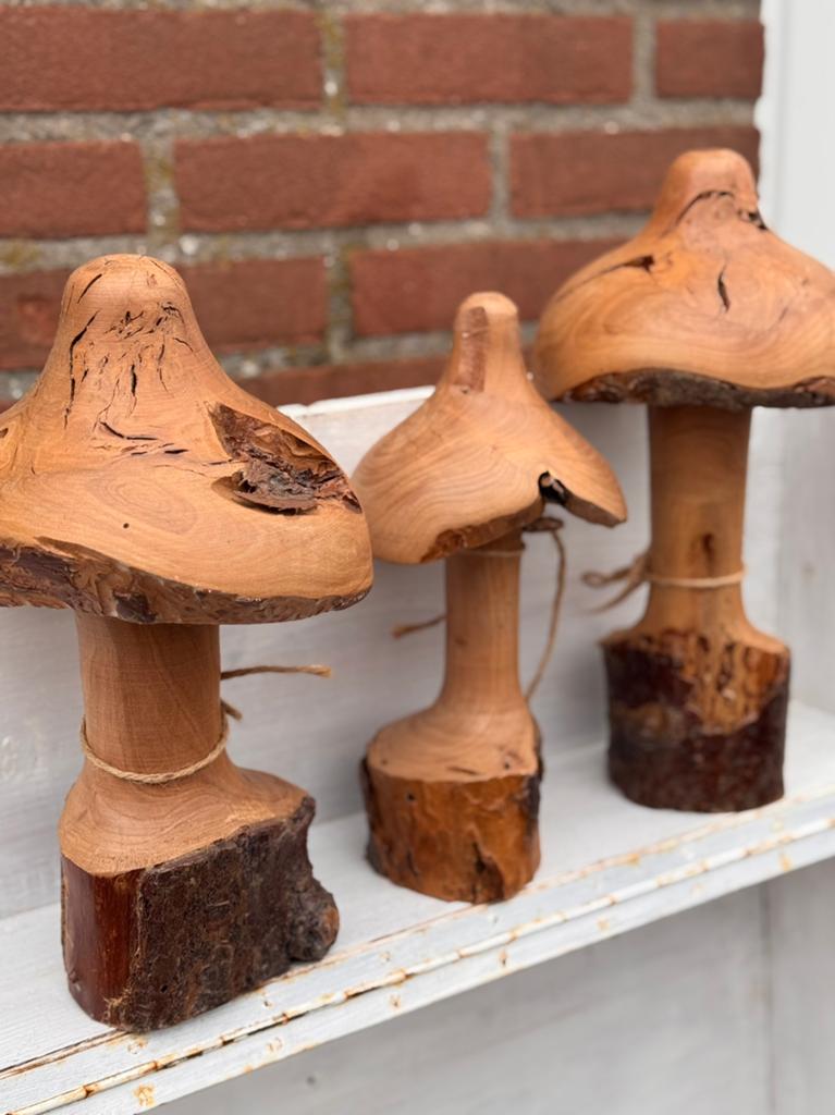 Houten paddestoelen gedraaid, Ophalen of Verzenden