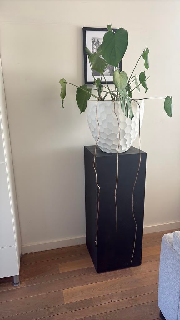 Pilaar incl pot en plant, Ophalen, Gebruikt
