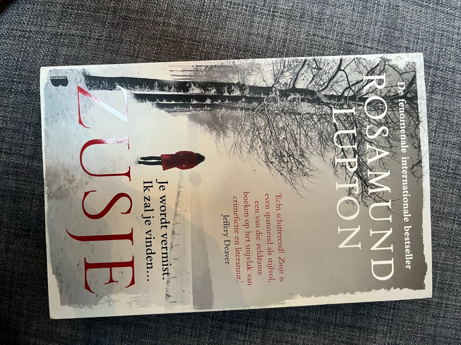 Rosamund Lupton - Zusje (Thriller), Ophalen of Verzenden, Zo goed als nieuw