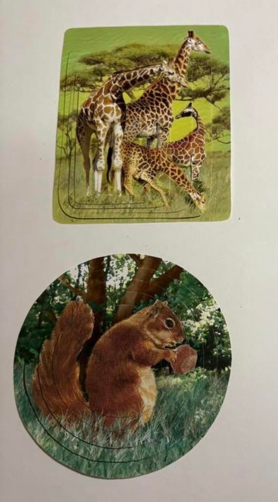 3d plaatjes dieren 2 nu samen 0,40, Ophalen of Verzenden, Nieuw, Overige thema's, Knipvel