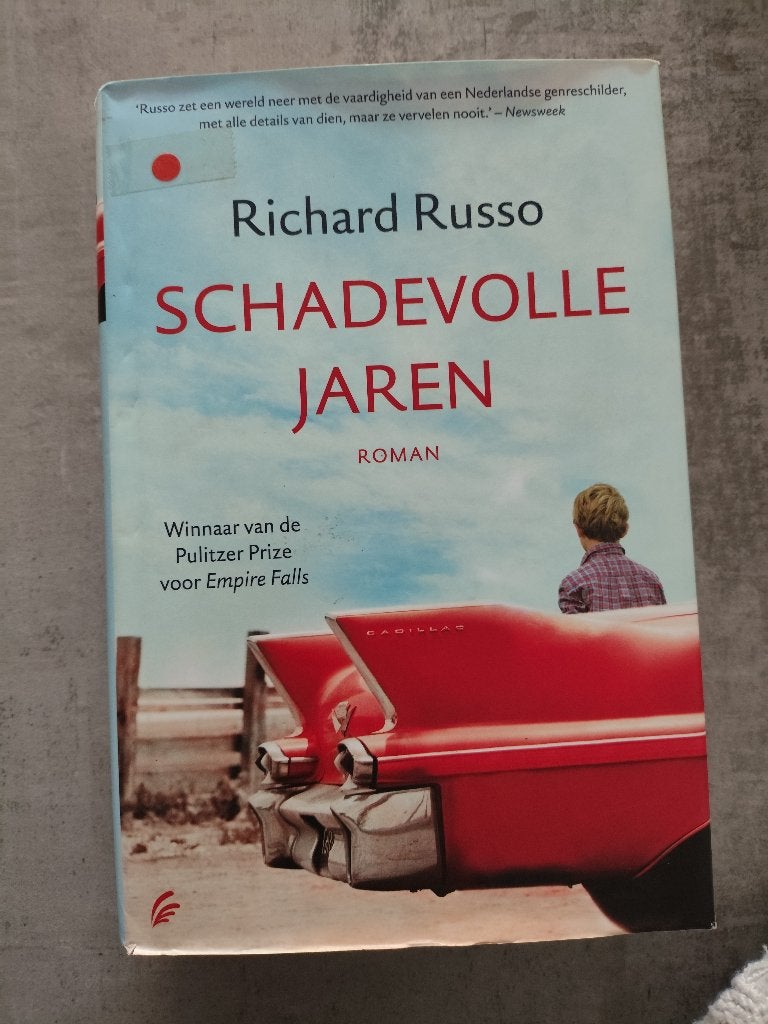 Richard Russo Schadevolle jaren, Ophalen of Verzenden, Gelezen