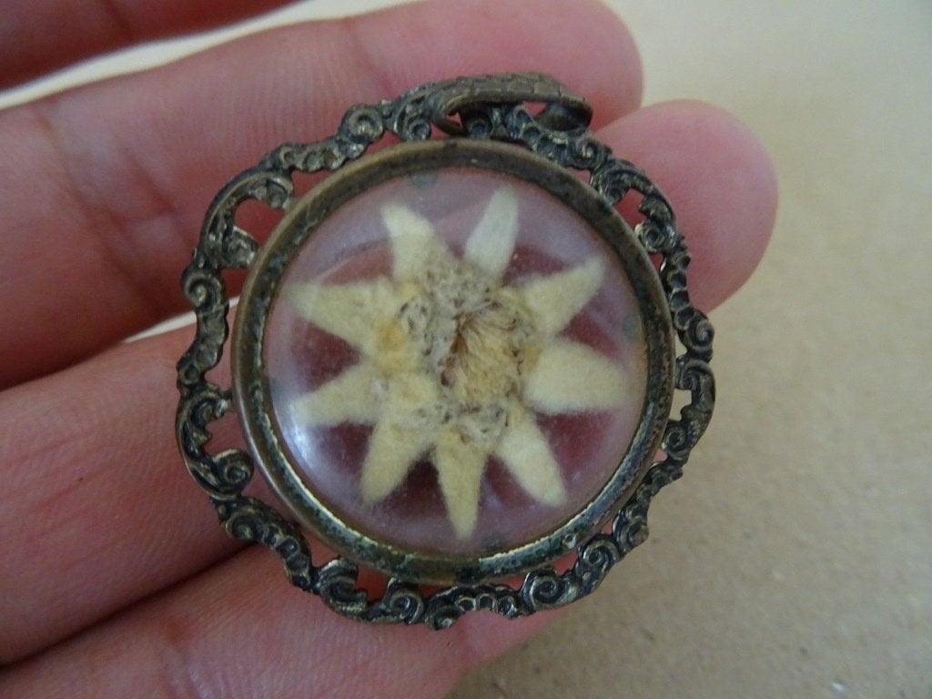 Curiosa vintage edelweis medaillon edelweis hanger zilver ?, Antiek en Kunst, Ophalen of Verzenden