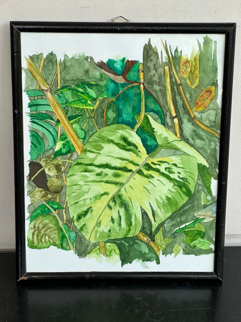 Oud Aquarel schilderij Kamerplanten thema 22/27 cm, Antiek en Kunst, Kunst | Schilderijen | Klassiek, Ophalen of Verzenden