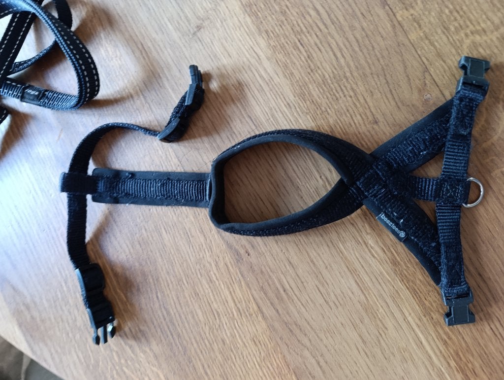 Hondentuig, halsband + riem, Dieren en Toebehoren, Ophalen, Zo goed als nieuw, Hondenriem