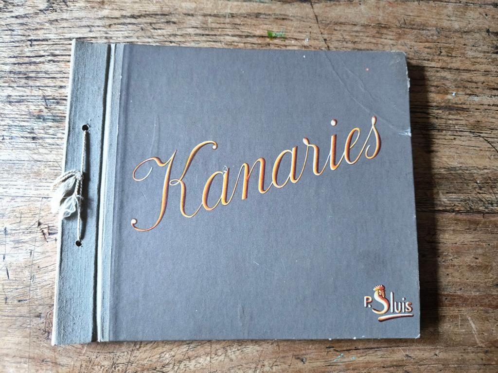 Kanaries - P. Sluis - Oud boekje over kanaries, Ophalen of Verzenden, Gelezen