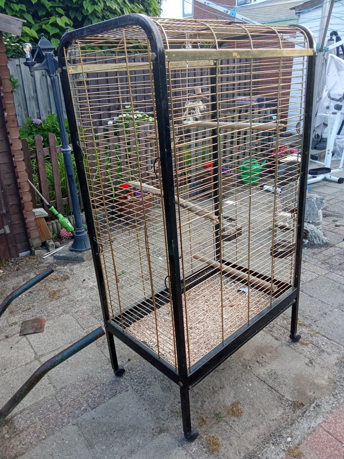 Papegaaien kooi, Ophalen