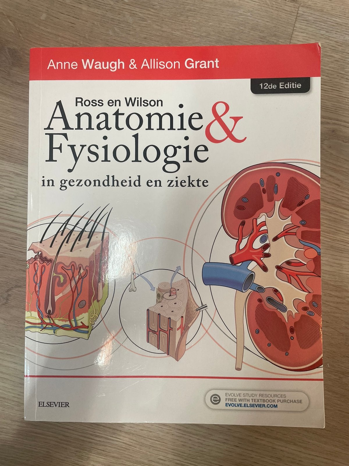Anatomie & fysiologie in gezondheid en ziekte 12e editie, Boeken, Ophalen of Verzenden, Beta, Zo goed als nieuw, HBO