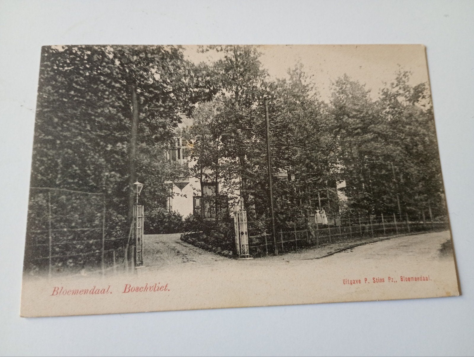 Bloemendaal Boschvliet 1906, Ophalen of Verzenden, Voor 1920, Gelopen, Noord-Holland