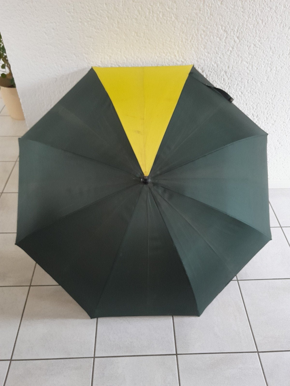 Paraplu, Sieraden, Tassen en Uiterlijk, Paraplu's, Ophalen of Verzenden, Nieuw