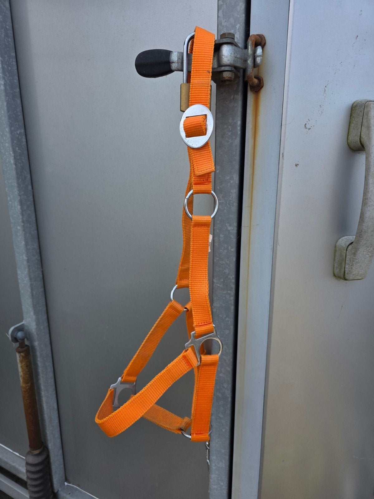 Oranje halster maat cob., Ophalen of Verzenden, Zo goed als nieuw