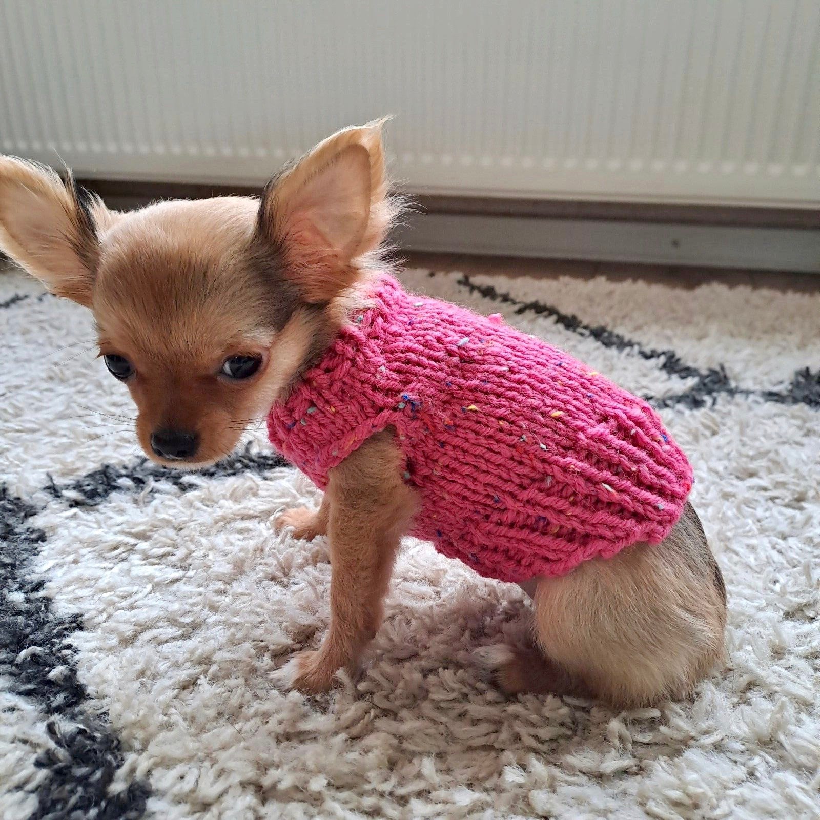 Handmade Trui PUP Jong hondje Chihuahua Boomer Xolo Pomchi, Ophalen of Verzenden, Nieuw, Hondentrui, Handgemaakt