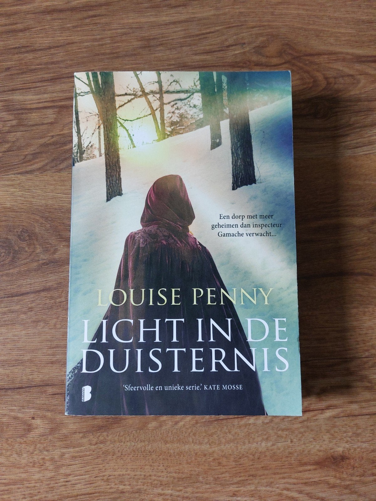 Thriller van Louise Penny • Licht in de duisternis, Boeken, Ophalen of Verzenden, Zo goed als nieuw, Louise Penny