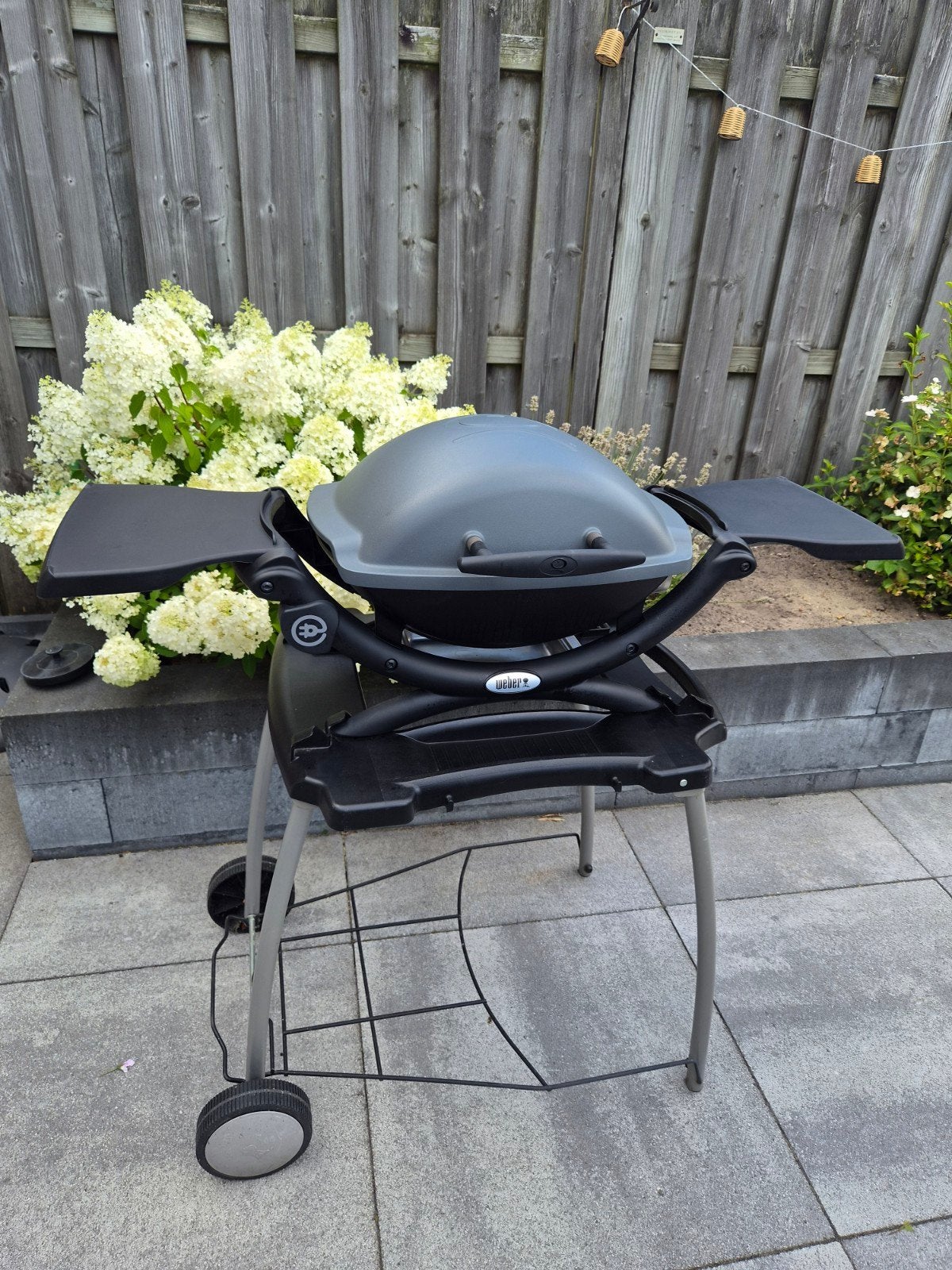 Goede Weber elektrische barbecue Q1400 - Supercompleet, Tuin en Terras, Elektrische barbecues, Ophalen
