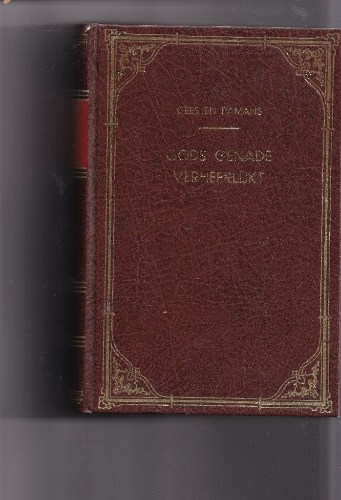 Geesje Pamans Gods genade verheerlijkt, Ophalen of Verzenden, Zo goed als nieuw