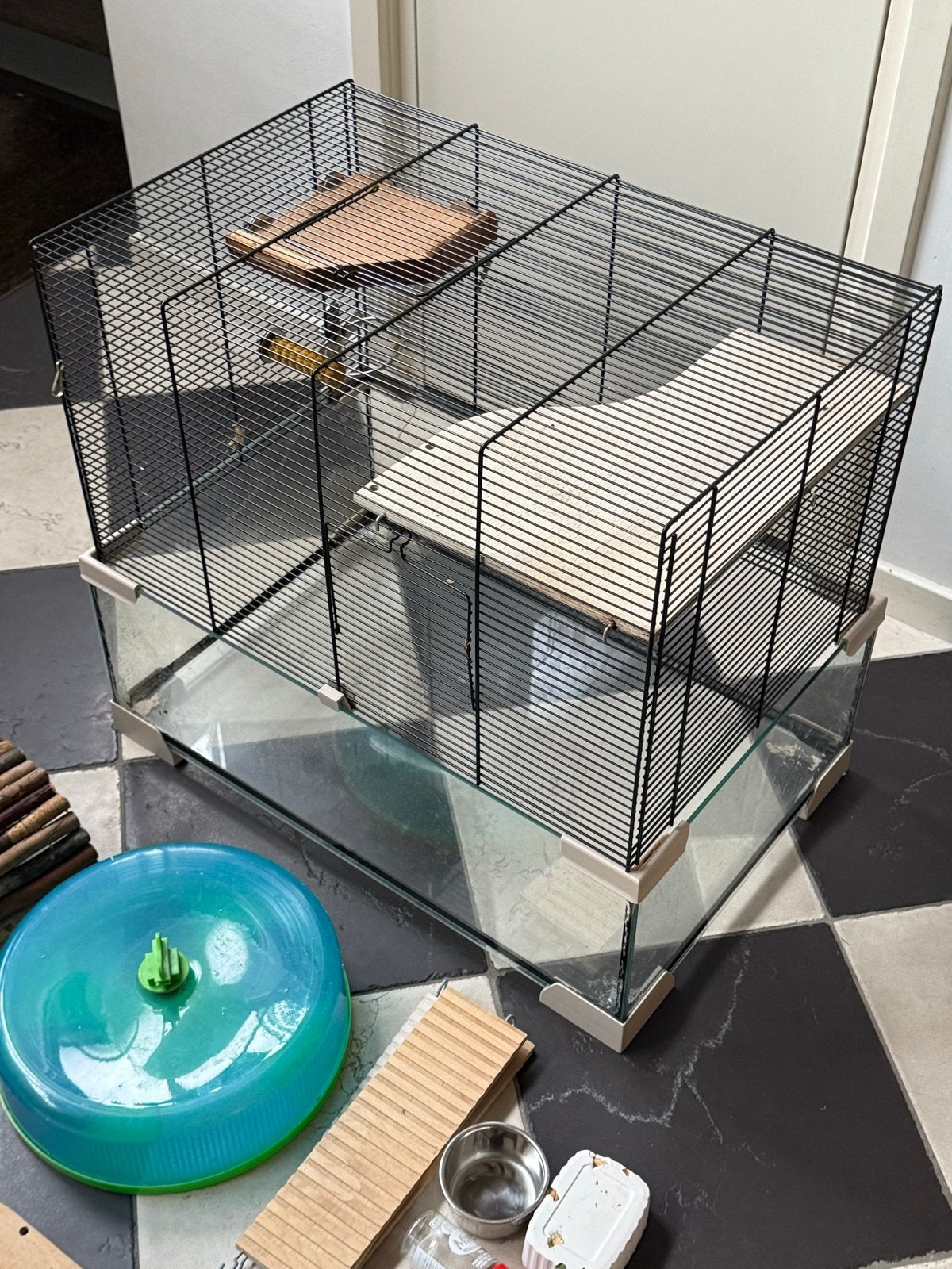 Hamsterkooi glas met accessoires, Dieren en Toebehoren, Ophalen, Gebruikt, Loopwiel of Rad
