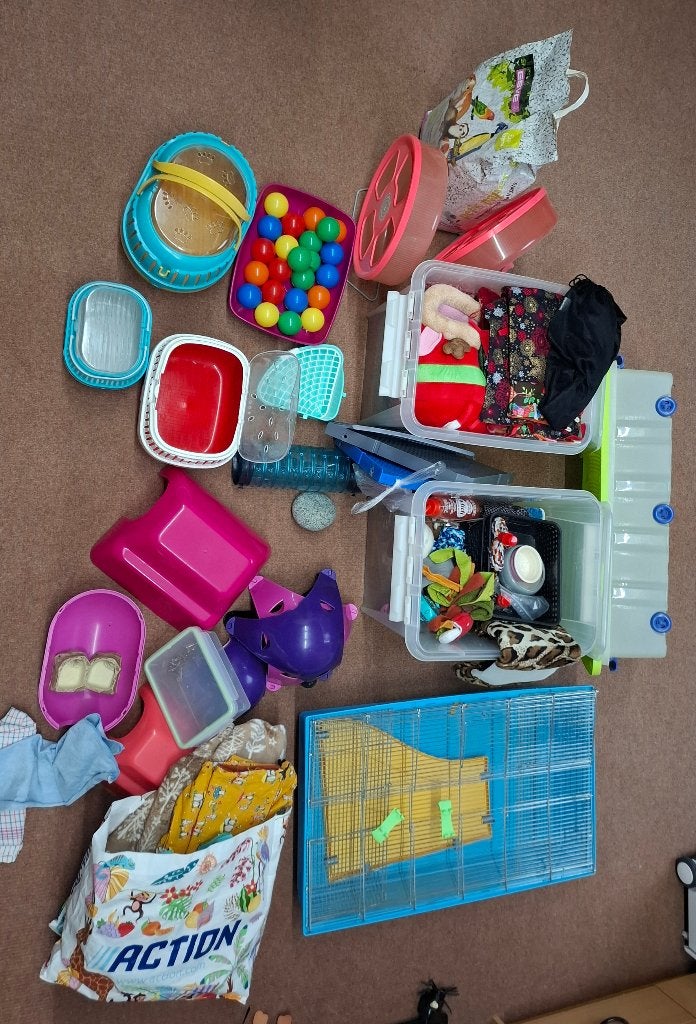 rat/knaagdier accessoires, rattenspeeltjes, Dieren en Toebehoren, Gebruikt, Overige typen, Minder dan 75 cm, Chinchilla