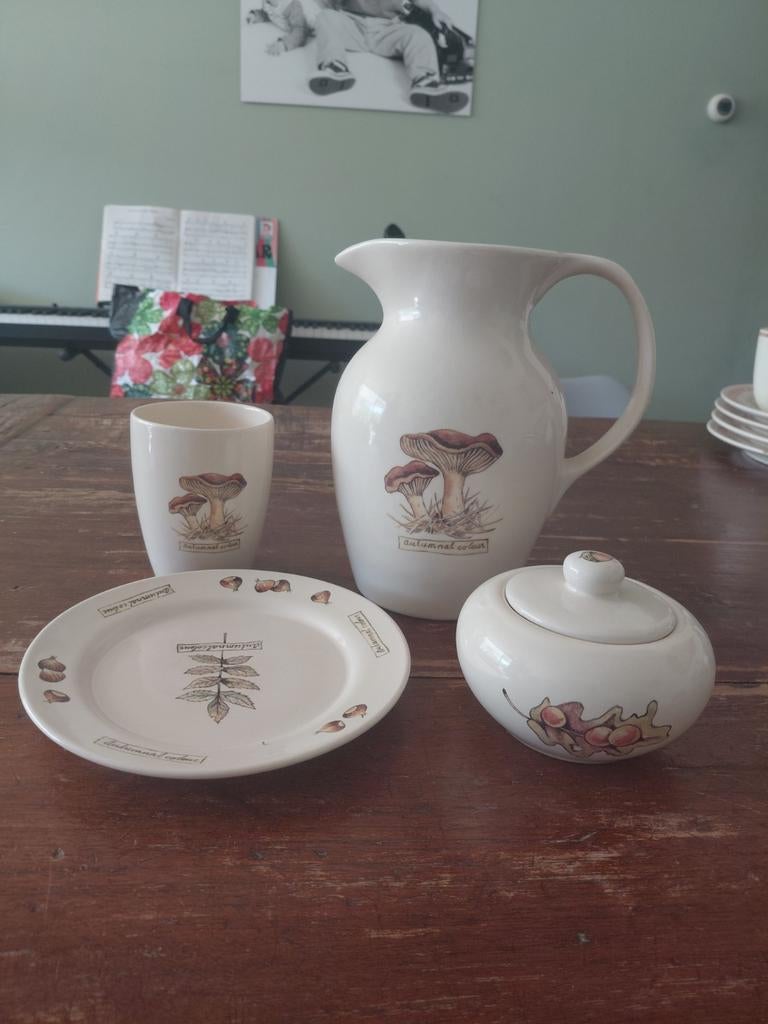 Jet ter Steege 'Autumnal colour' servies onderdelen, Ophalen, Gebruikt, Keramiek, Overige stijlen