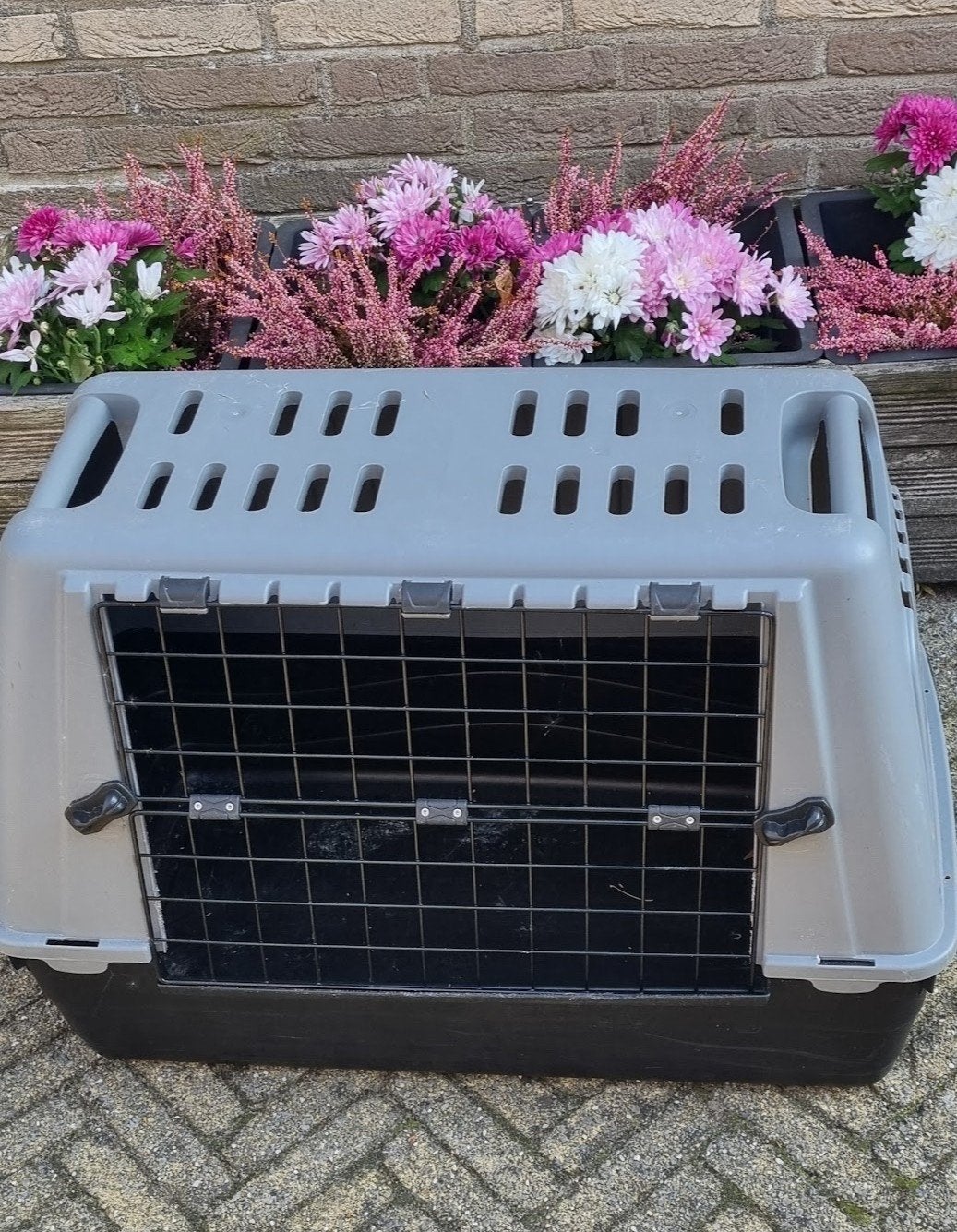 auto bench hond puppy, Dieren en Toebehoren, Ophalen, Zo goed als nieuw