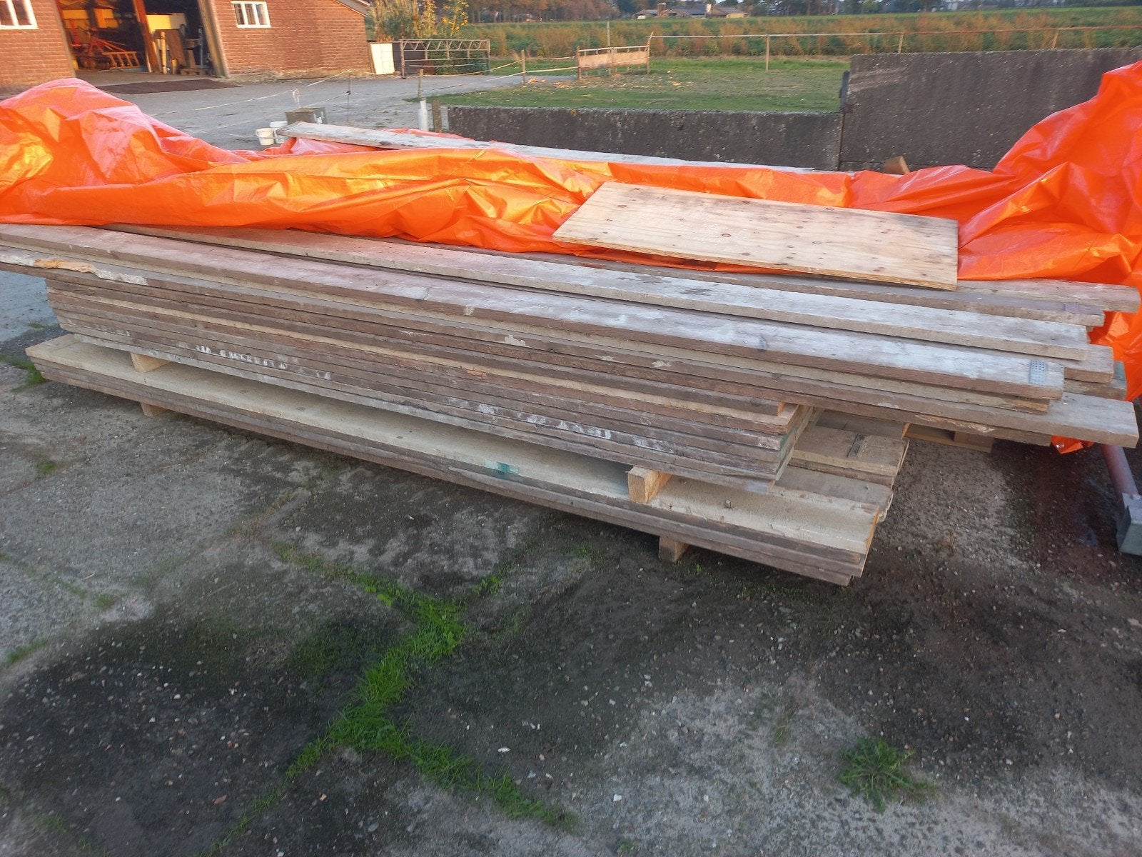 steigerplanken, Doe-het-zelf en Verbouw, Ophalen, 25 tot 50 mm, Plank, Steigerhout