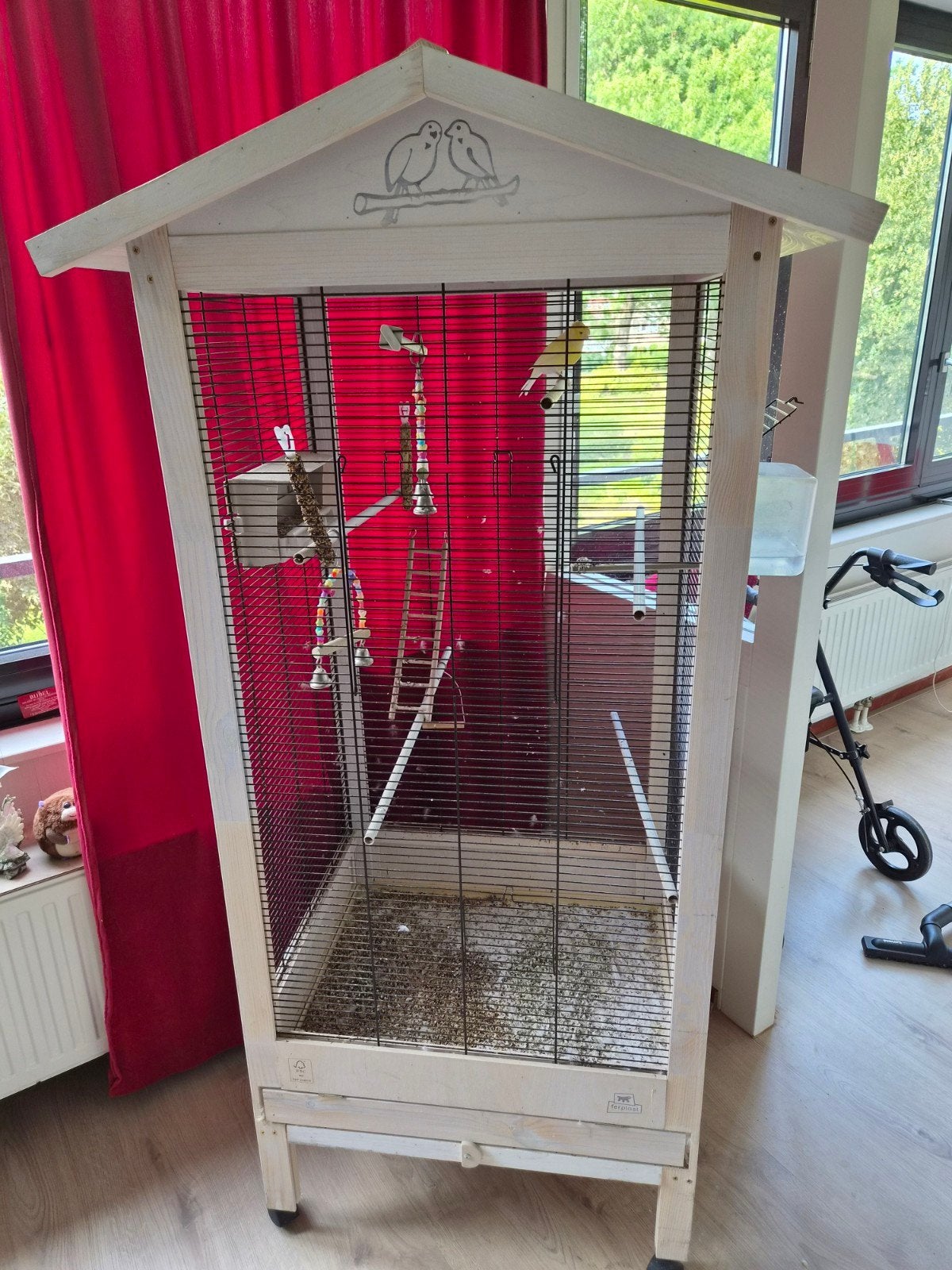 grote vogelkooi met kanarie, Geslacht onbekend, Kleurkanarie