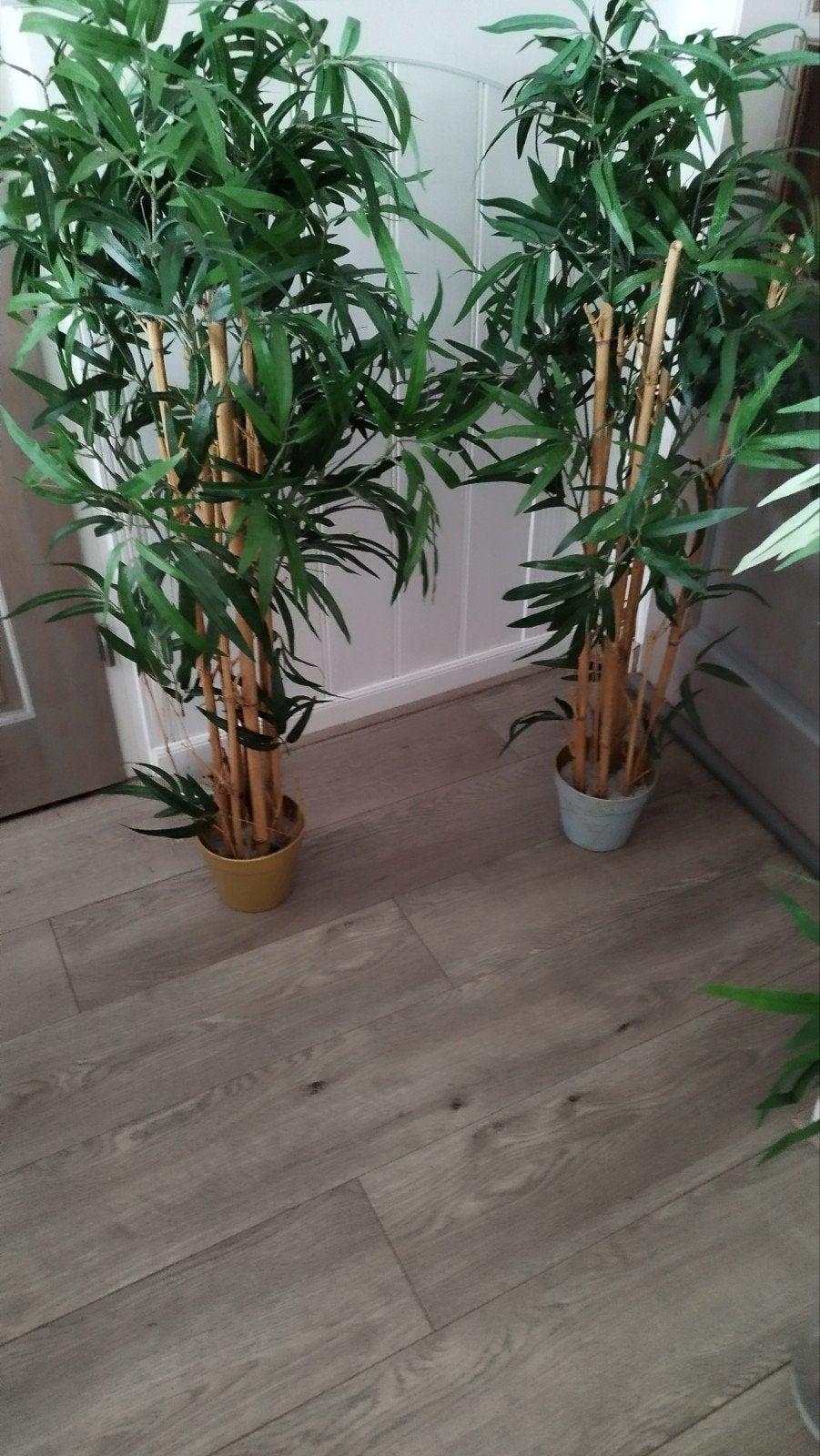 Set van 2 kunstbamboeplanten - Groen en onderhoudsvrij, Ophalen, Groen, Met pot of vaas, Kunstplant