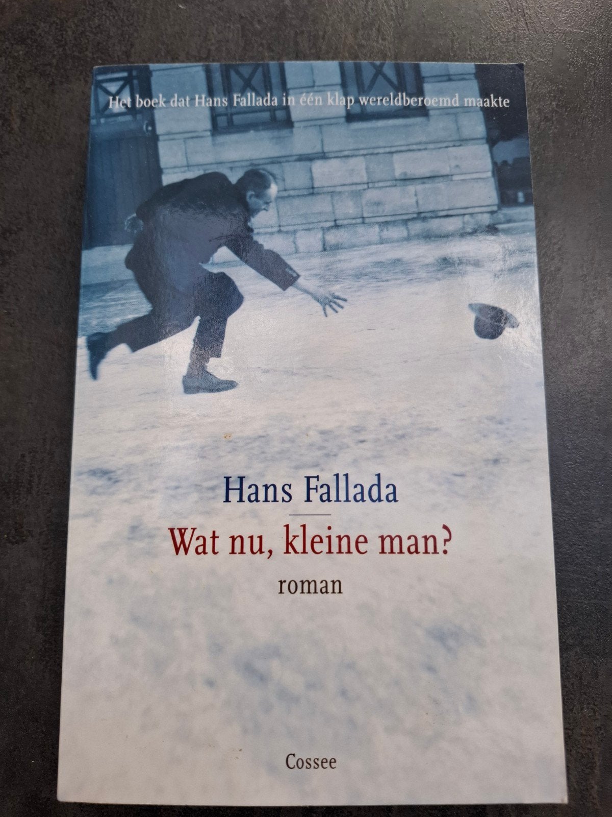 Hans Fallada - Wat nu, kleine man?, Ophalen of Verzenden, Zo goed als nieuw, Hans Fallada