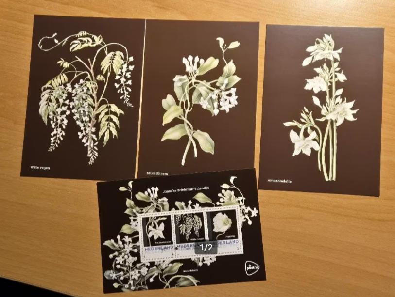 3 x ansichtkaart Janneke Brinkman met velletje postzegels, Verzenden, Postfris