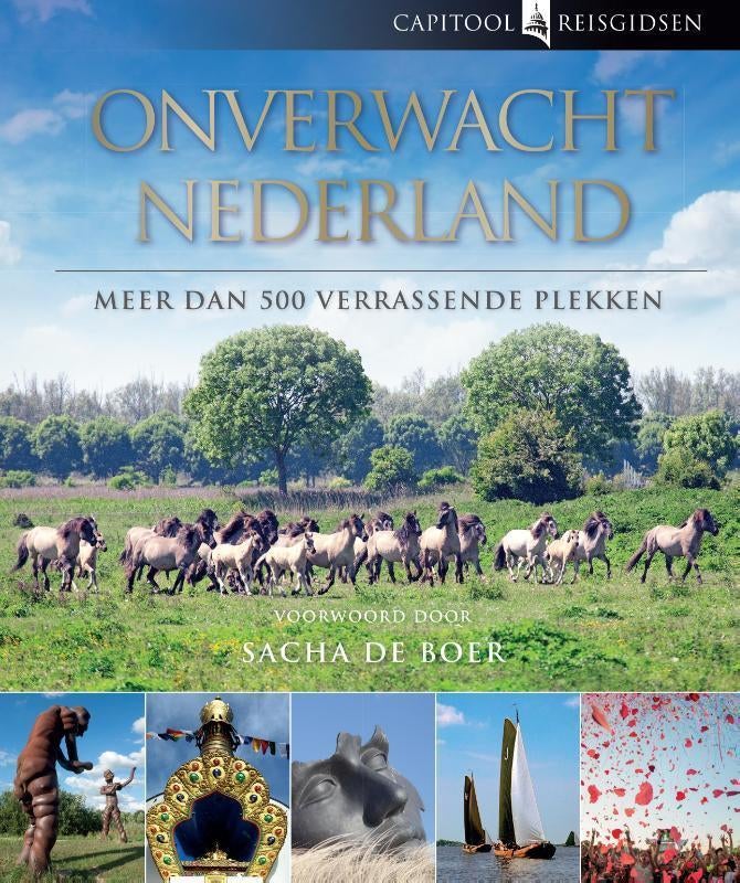 Capitool Reisgidsen - Onverwacht Nederland, Boeken, Capitool, Bartho Hendriksen, Nieuw, Ophalen of Verzenden