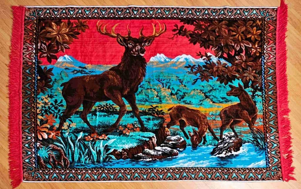 Wandkleed 170/115cm, Gebruikt, Etten-Leur, DJT@dejuistetoon.eu, Ophalen of Verzenden