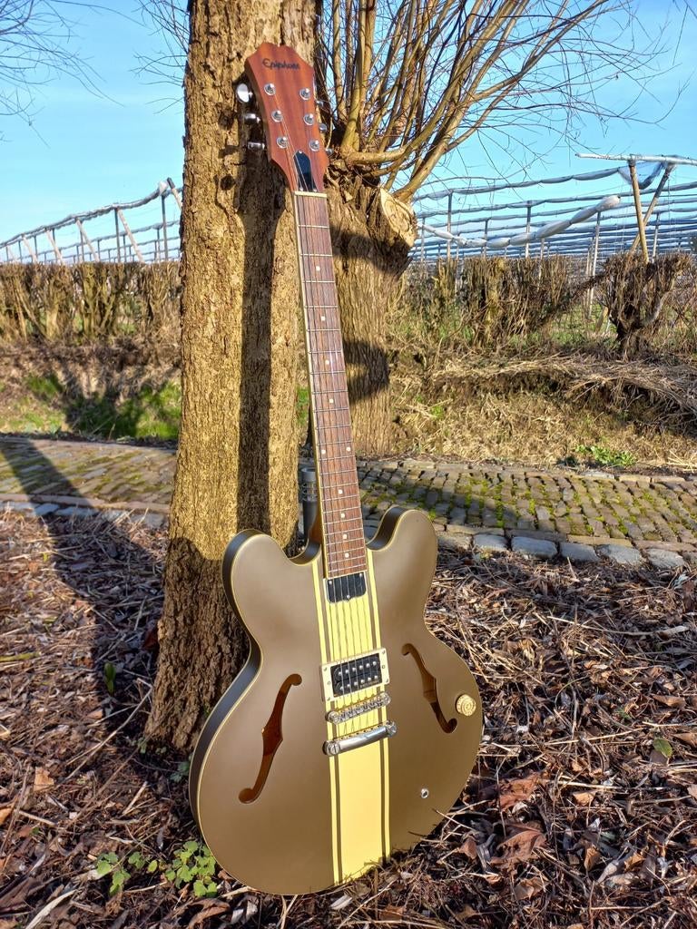 Epiphone Tom Delonge, Muziek en Instrumenten, Ophalen, Zo goed als nieuw, Hollow body, Epiphone