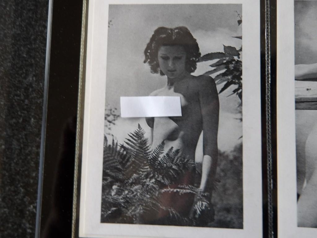 pinup pin-up naakt erotiek (naakt) foto G, Verzenden