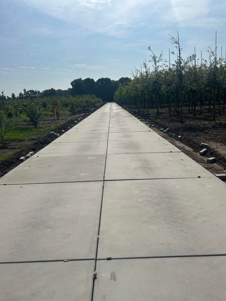 Betonplaten stelconplaten industrieplaten winter aanbieding!, Tuin en Terras, Overige typen, Nieuw, Ophalen of Verzenden, 10 m² of meer