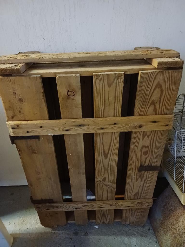 Oude houten eierkist.decoratie, Huis en Inrichting, Ophalen of Verzenden, Gebruikt, Rechthoekig, Hout