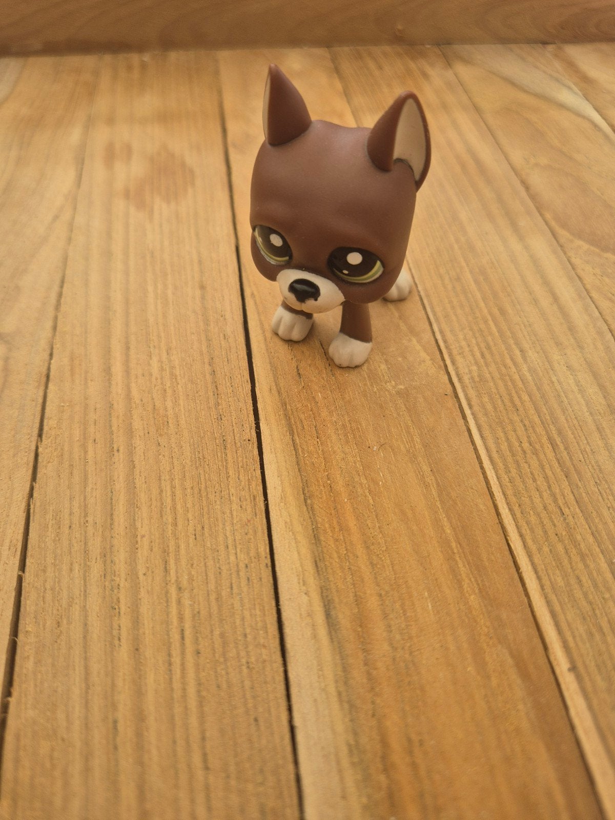 Littlest Pet Shop Bruine Chihuahua Hondje LPS 01601, Verzamelen, Ophalen, Gebruikt