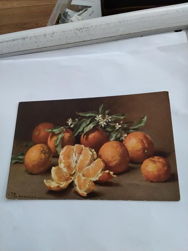 STILLEVEN  - ALEXANDRE  FRANÇOIS  BONNARDEL, Verzamelen, Ansichtkaarten | Themakaarten, Ophalen of Verzenden, Voor 1920, Sterren en Beroemdheden