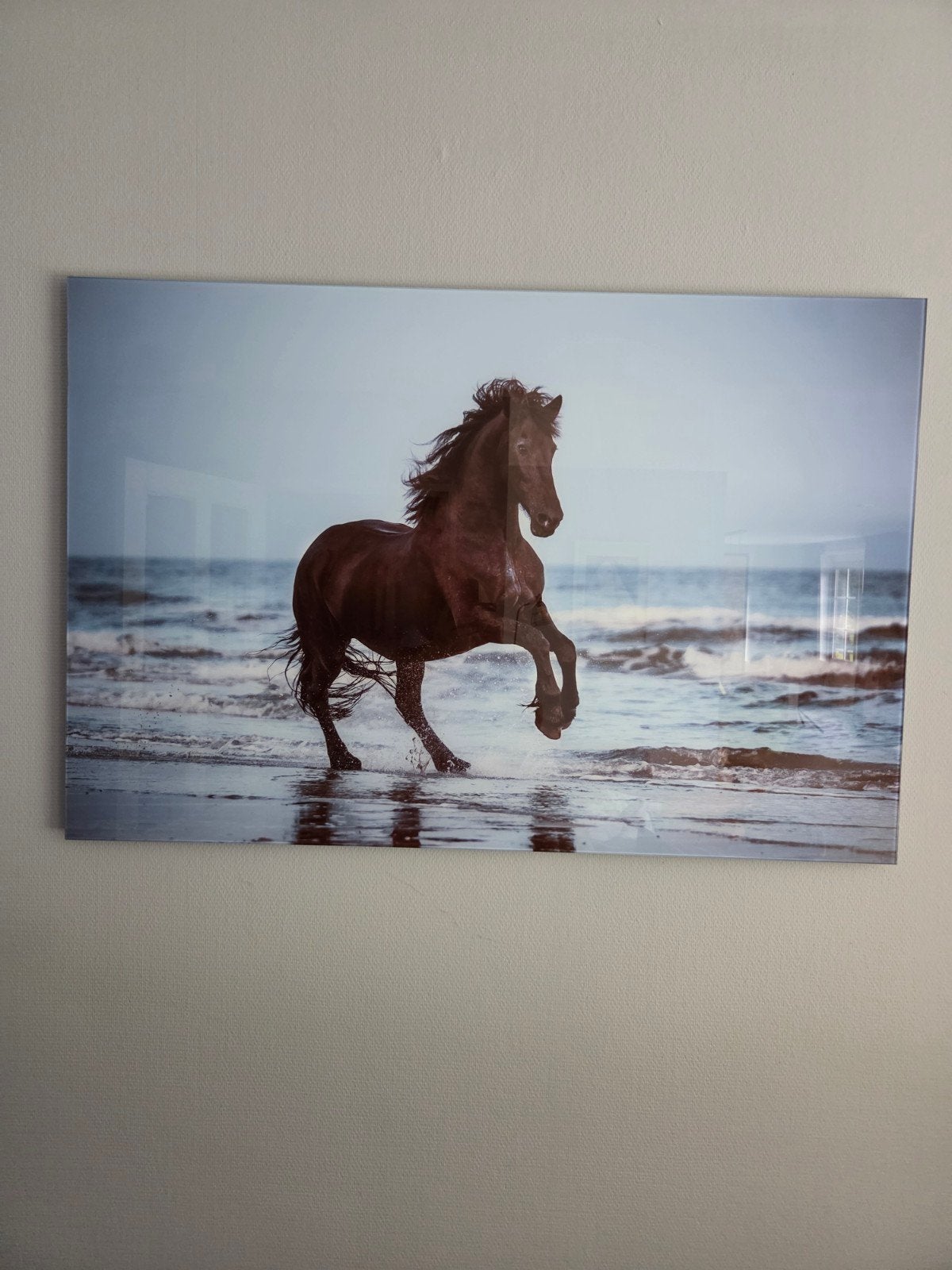 Glazen schilderij van een Fries paard H 80 cm en B 120 cm, Huis en Inrichting, Ophalen, Zo goed als nieuw, Schilderij, 100 tot 125 cm