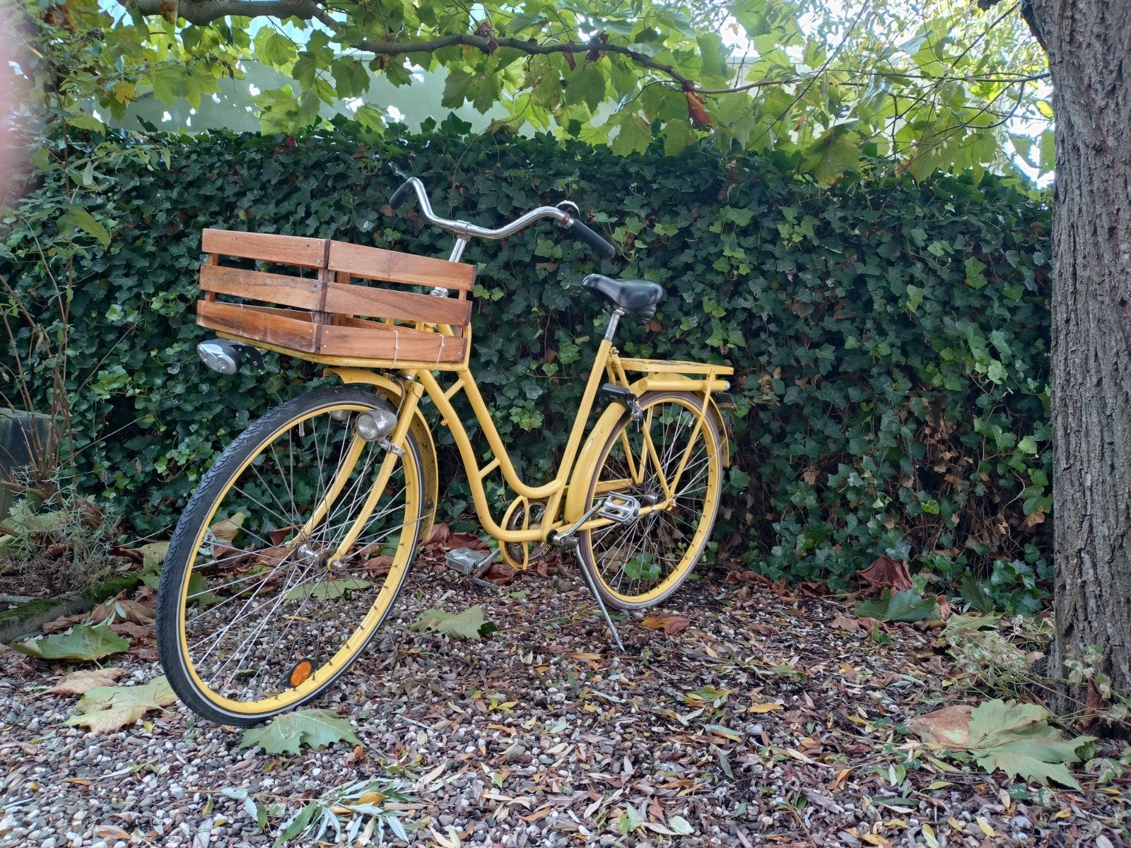 Gele damesfiets met kistje en terugtraprem, Fietsen en Brommers, Overige merken, Terugtraprem, 47 tot 50 cm, Ophalen of Verzenden