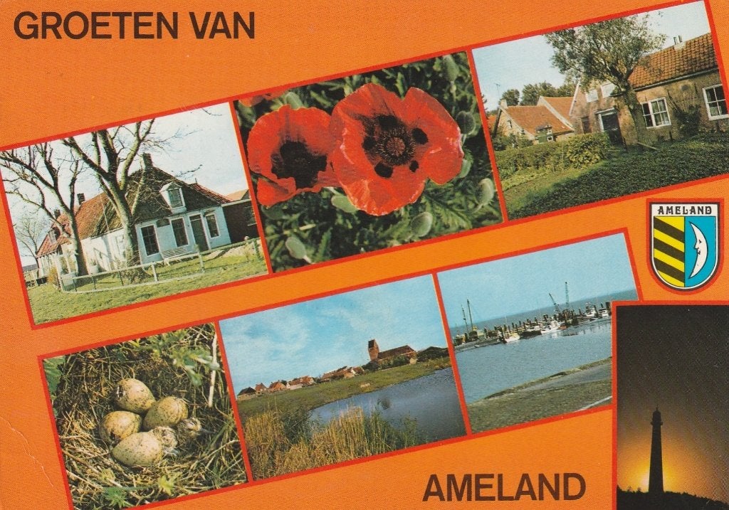 AMELAND Boerderij Nest Haven Groeten, Verzenden, 1960 tot 1980, Gelopen, Waddeneilanden