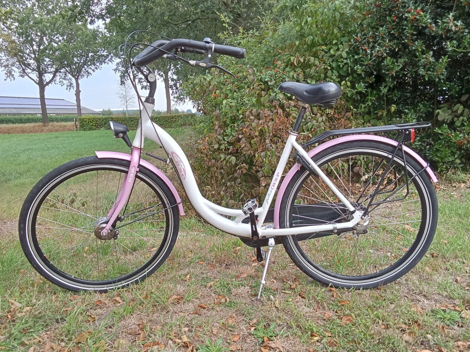 BSP Feine 28 inch damesfiets met 3 versnellingen, Fietsen en Brommers, Gebruikt, Velgrem, Versnellingen, Ophalen