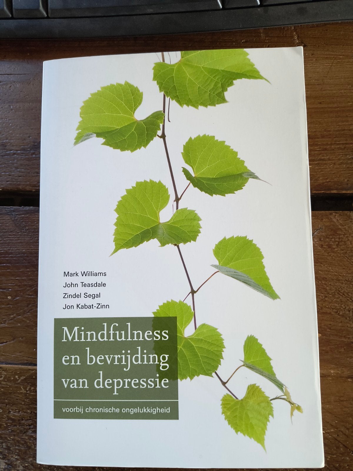 Mindfulness en bevrijding van depressie, Boeken, Ophalen of Verzenden, Zo goed als nieuw, Klinische psychologie, Mark Williams, John Teasdale, Zindel Segal, Jon Kabat-Zinn