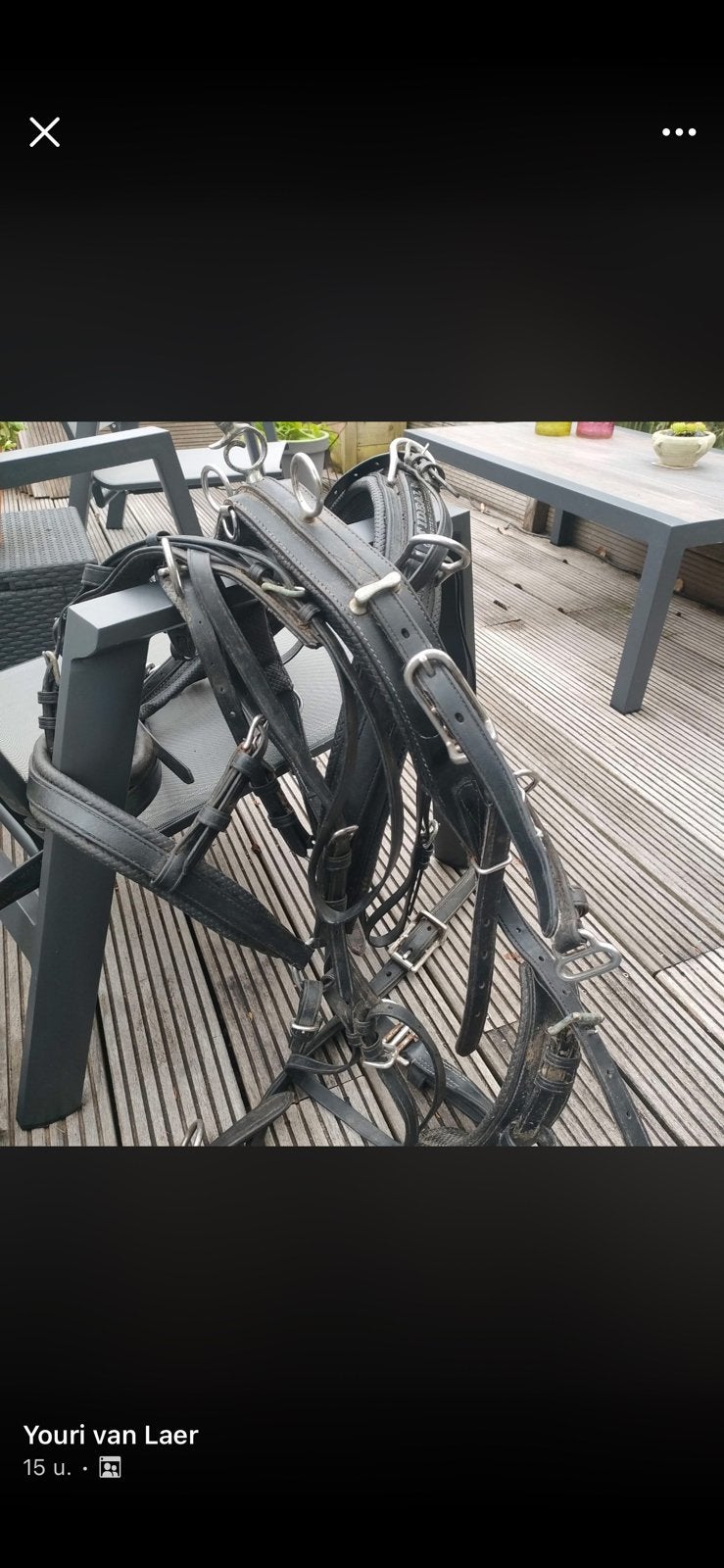 Gezocht mentuig pony, Ophalen of Verzenden, Zo goed als nieuw, Mentuig, Pony