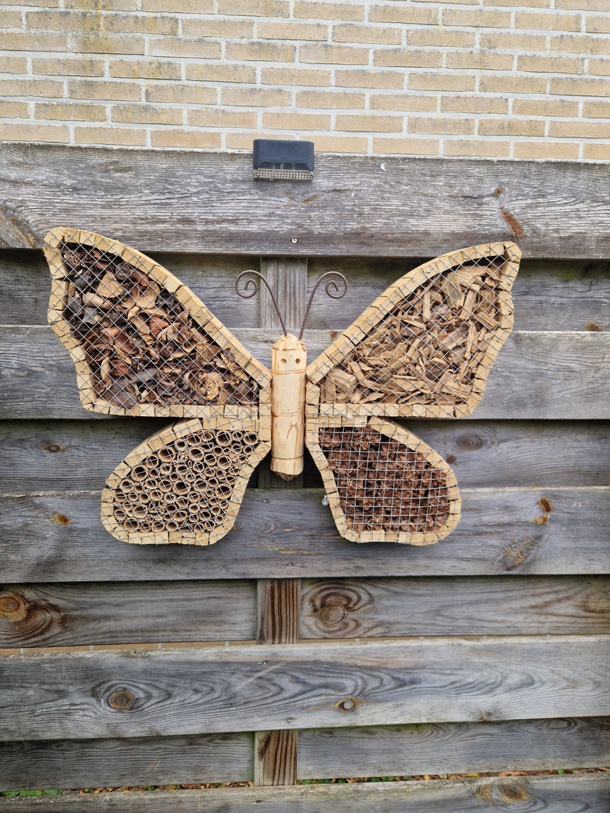 insectenhotel vlinder, Ophalen
